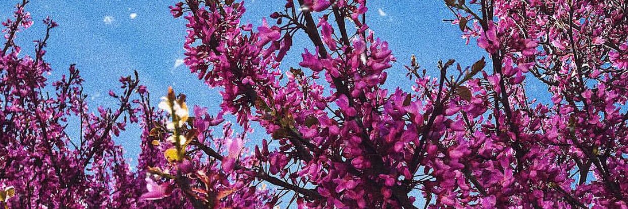vUnloveablev's profile banner image