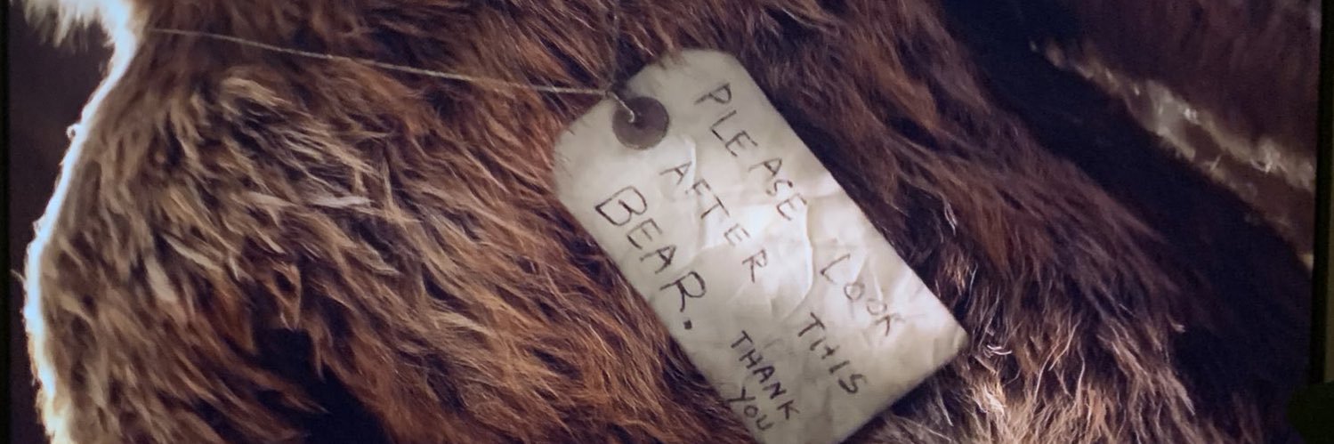 czaibear's profile banner image