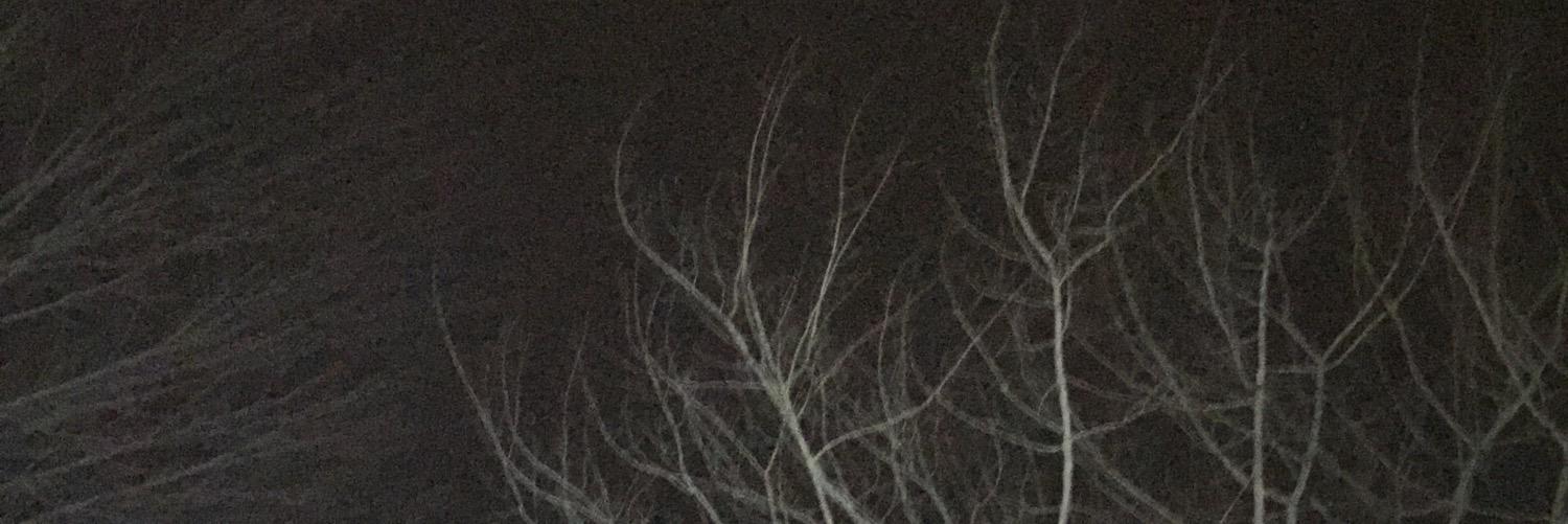 shrekenstein's profile banner image