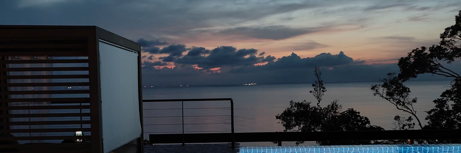 Vidalamia's profile banner image