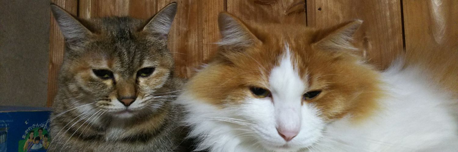 cobby5296's profile banner image