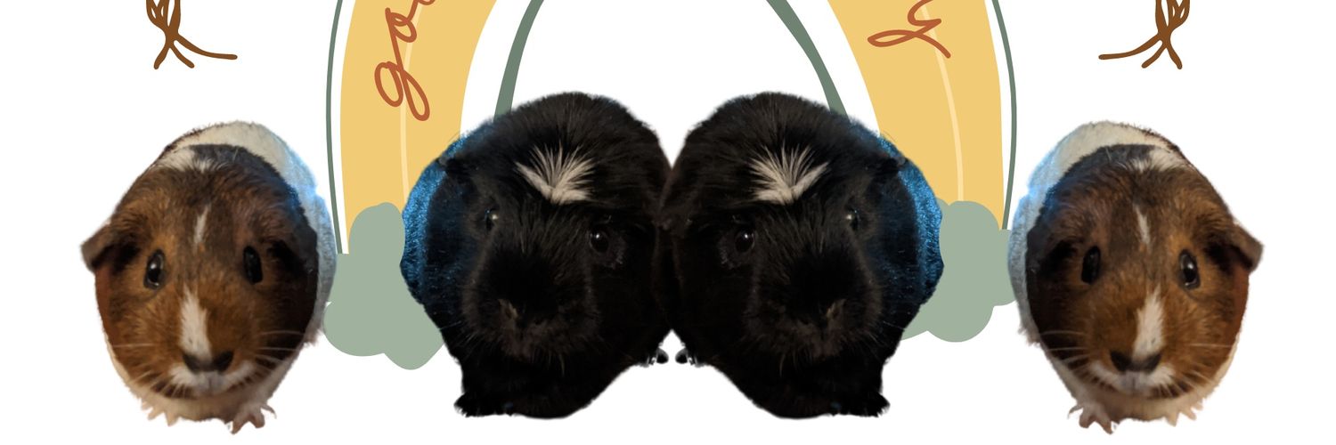 Sugabun13's profile banner image