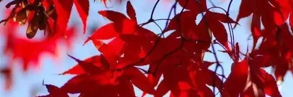 Police_Station's profile banner image
