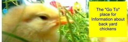 ChickenHeavenP's profile banner image
