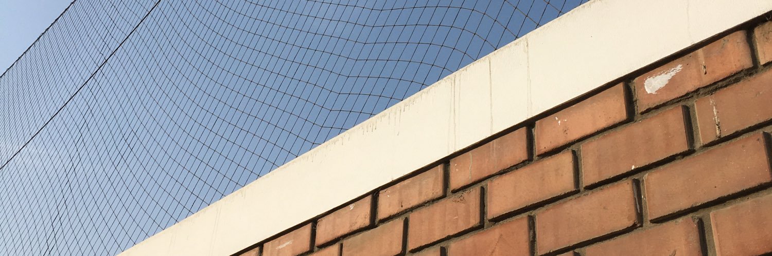 wilenwill's profile banner image