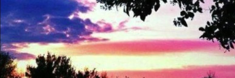 sherryd banner