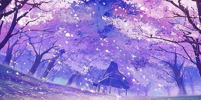531663908's profile banner image