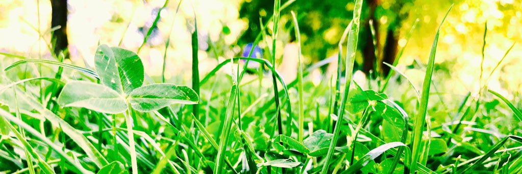 hemant2185's profile banner image