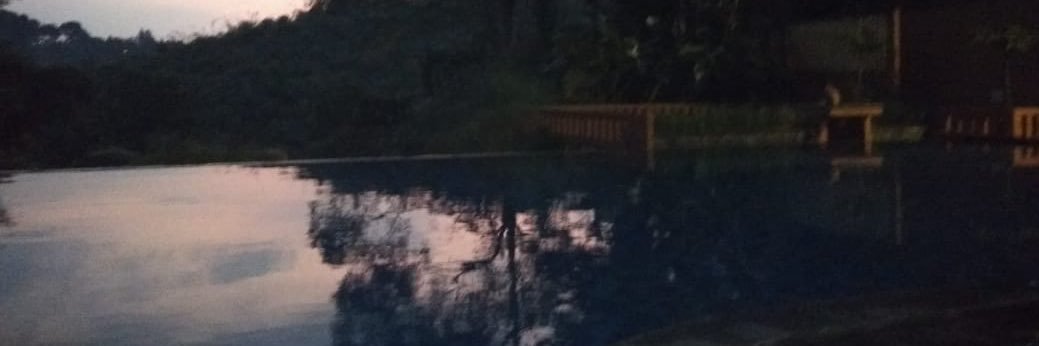 RLA_88's profile banner image