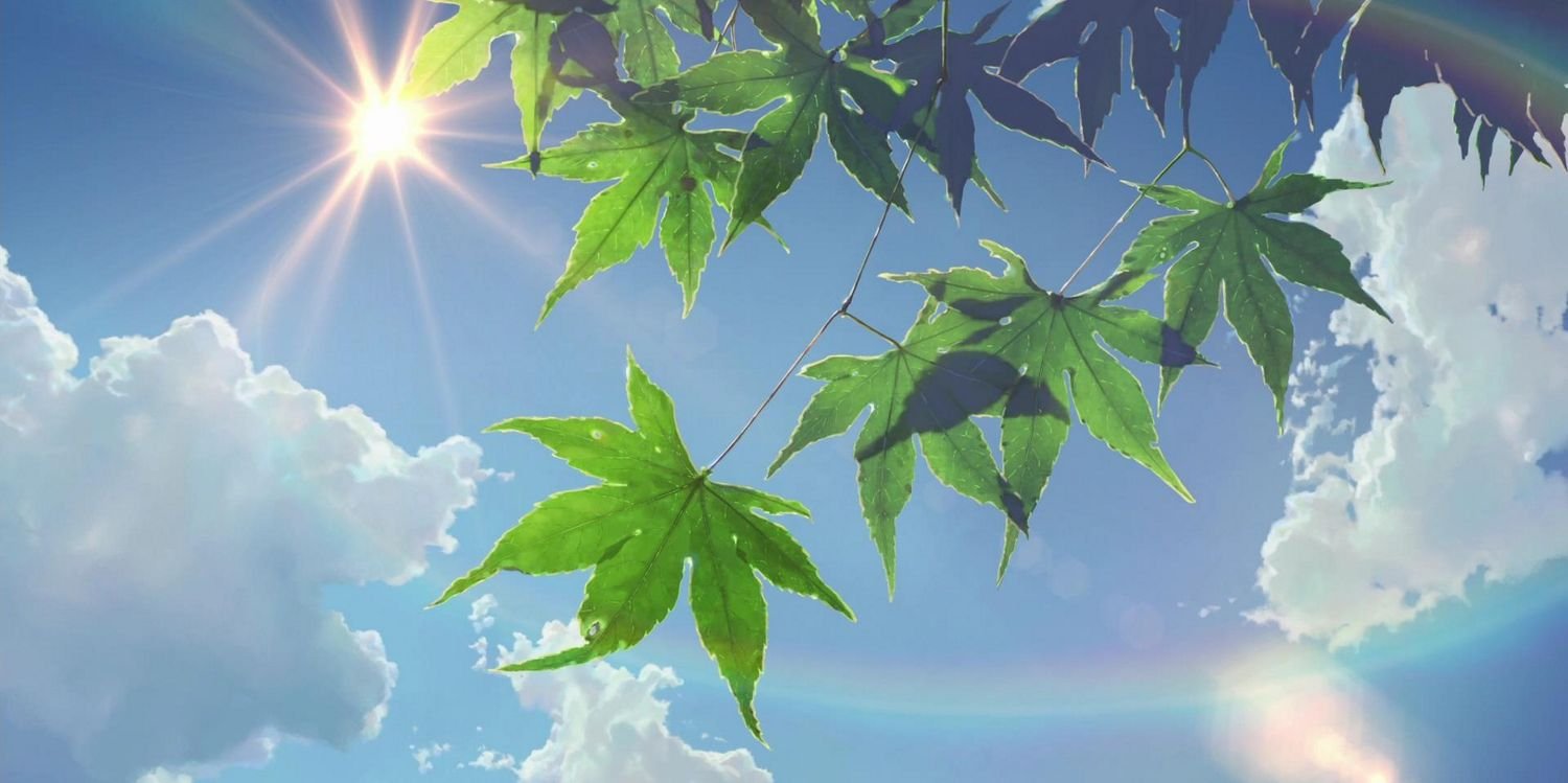 yuliudev's profile banner image