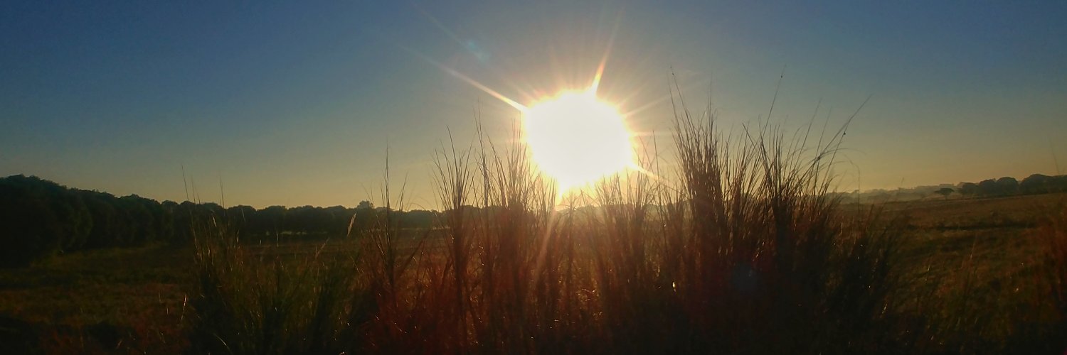 boysubo's profile banner image