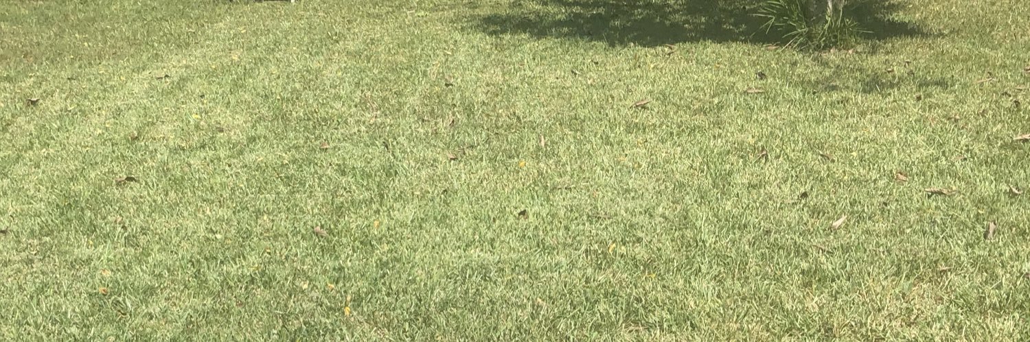 misseskay_'s profile banner image