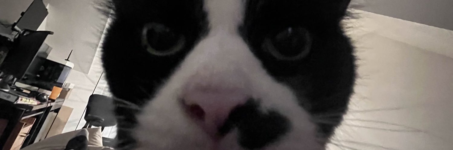 NIKKI banner