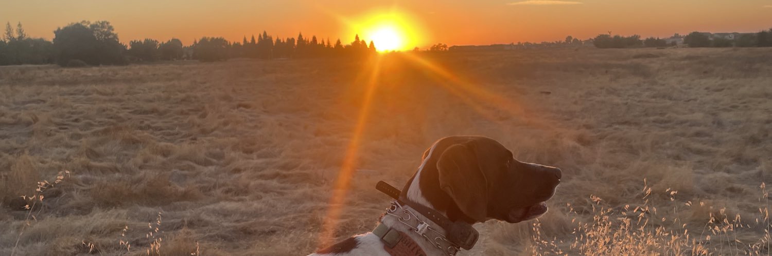 cjnick11's profile banner image