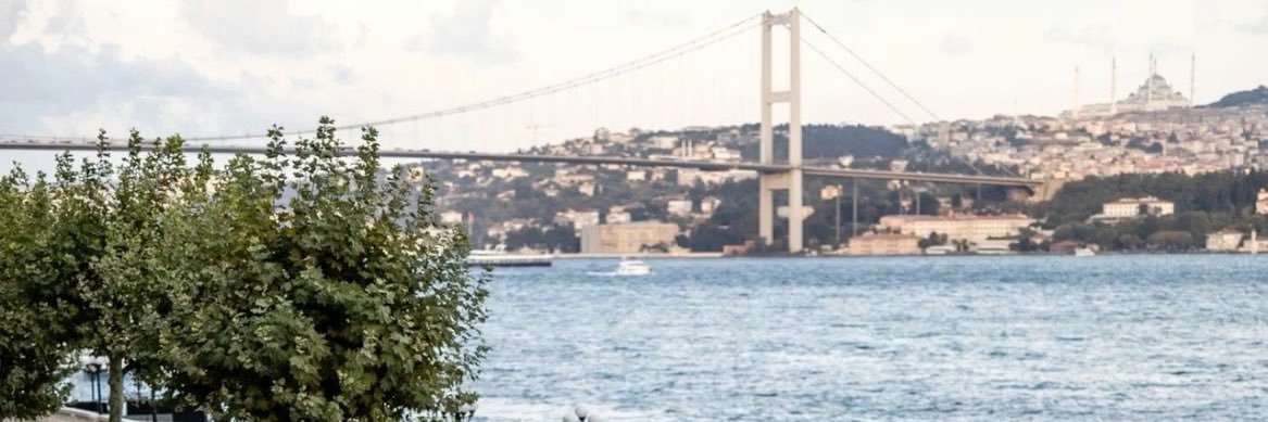 istedimolduu's profile banner image