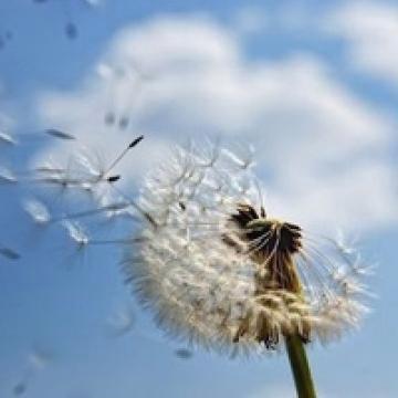 a3365a3365's profile banner image