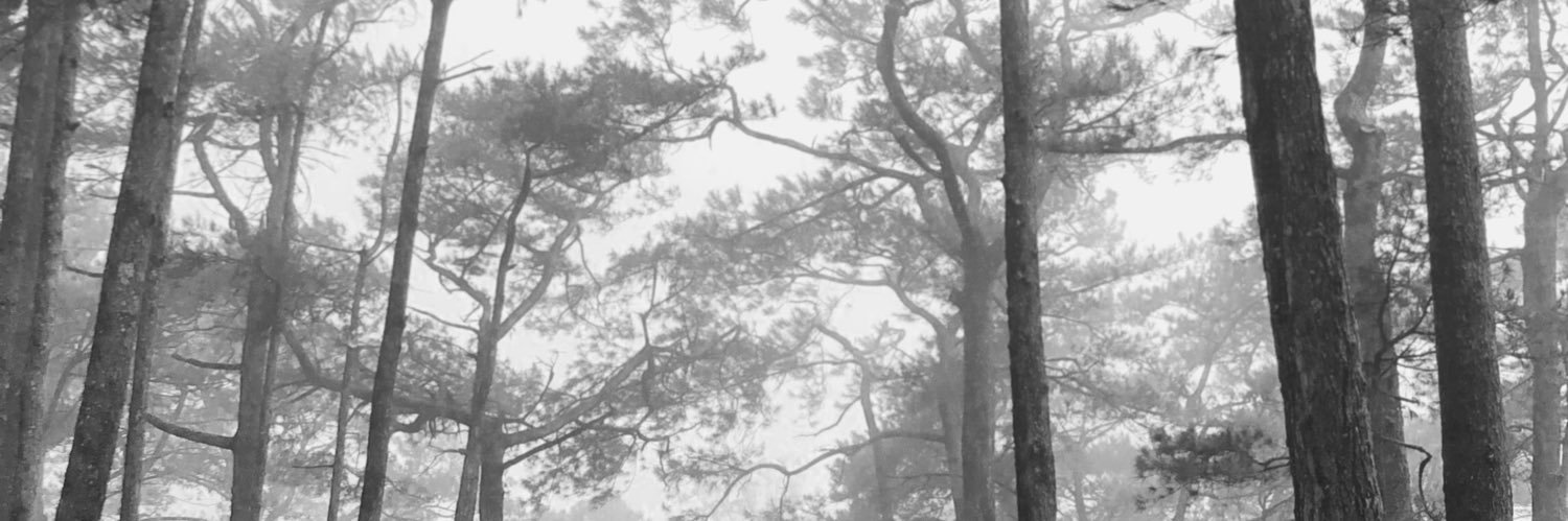 IamKikoRelado's profile banner image