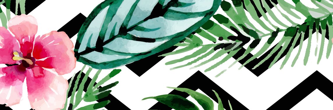 Jordina Roura banner