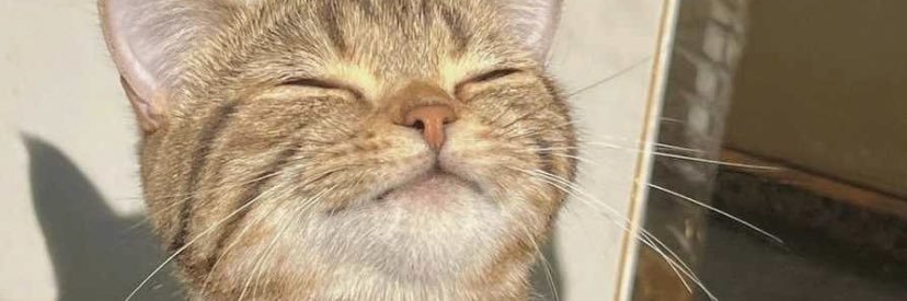 nimmsB's profile banner image
