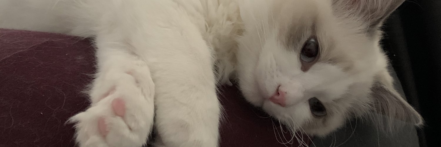 _N1COL's profile banner image