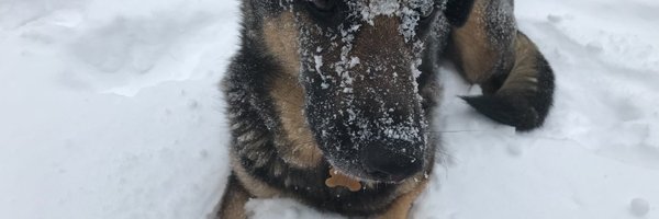 lexisfriend Profile Banner