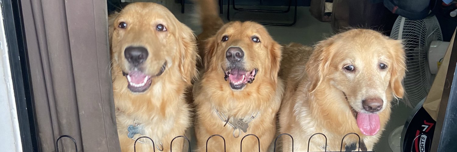 aomammm28's profile banner image