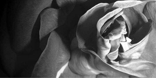 deevieraaaa's profile banner image