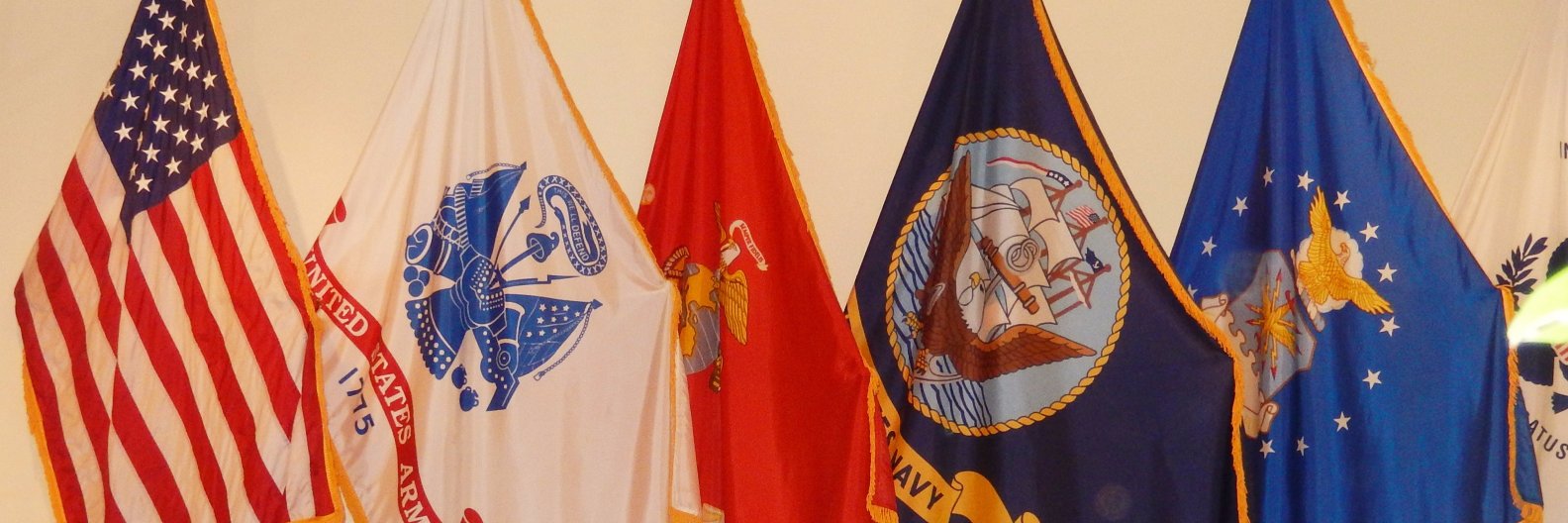 Sergeant Sarah Connor~Physically Disabled Veteran banner