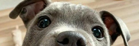 Ting12349's profile banner image