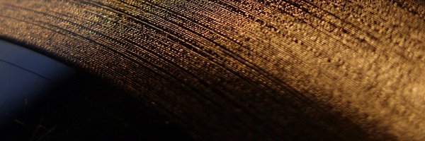 V_Giampietro Profile Banner