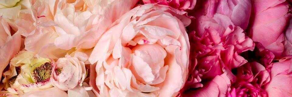 Bree Clare 💁🏼‍♀️ banner