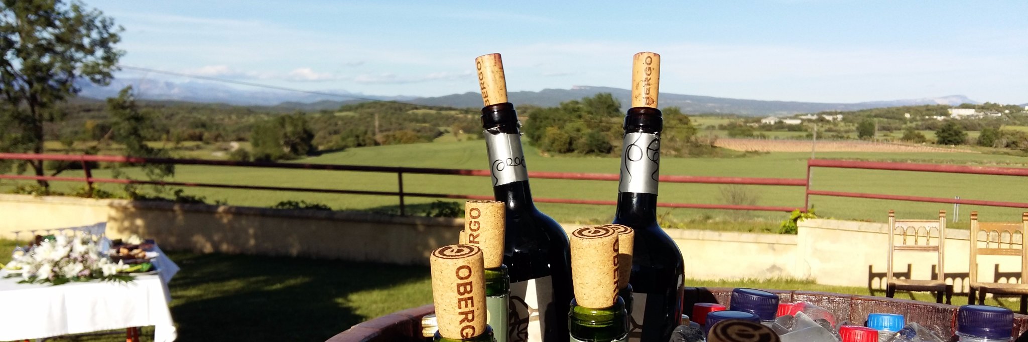 bodegasobergo's profile banner image