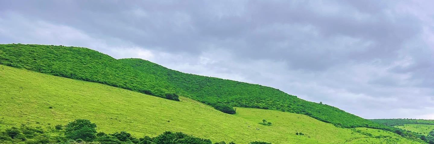 dupsuper's profile banner image