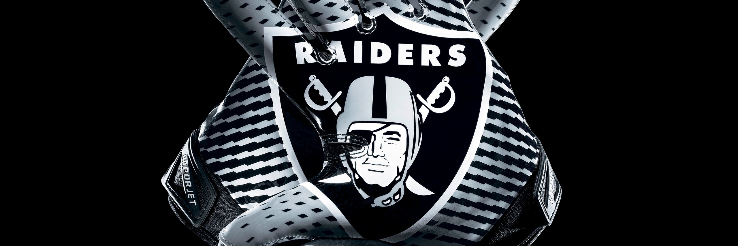 TheSilverAndBlack banner