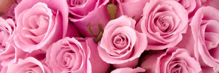 daniellebriggsx's profile banner image