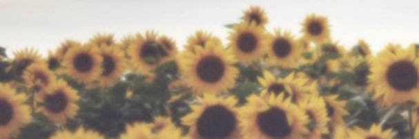 hannahmcd01's profile banner image