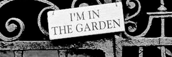 Alice25117 Profile Banner