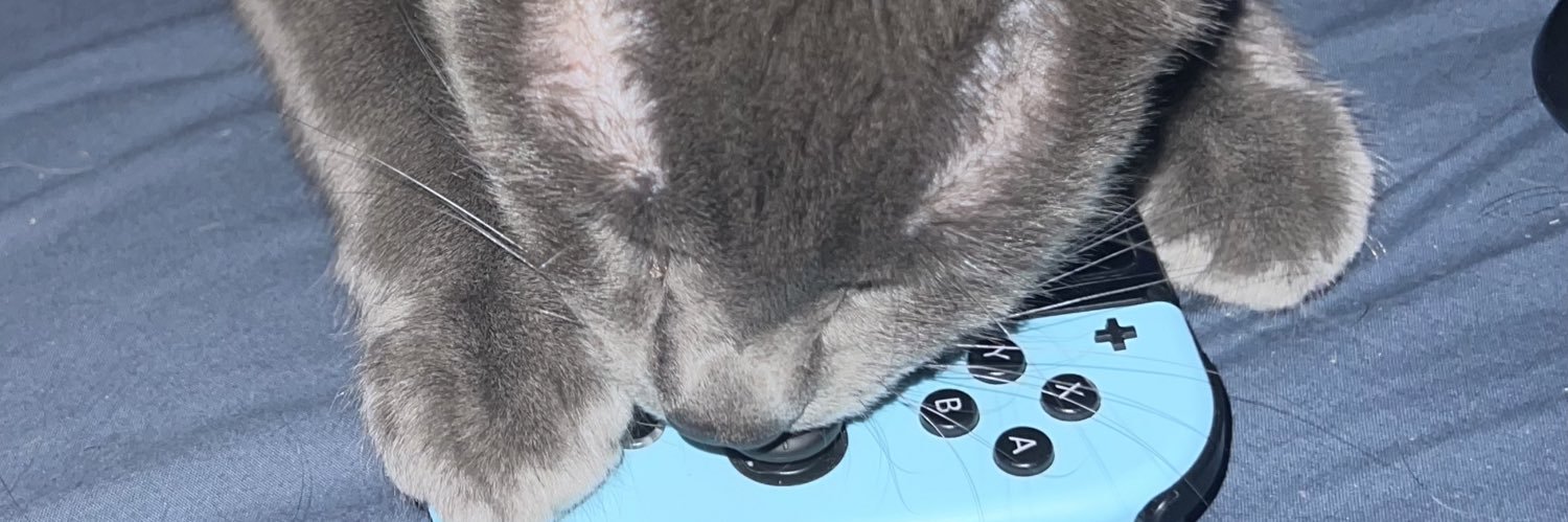 defzinhoo's profile banner image