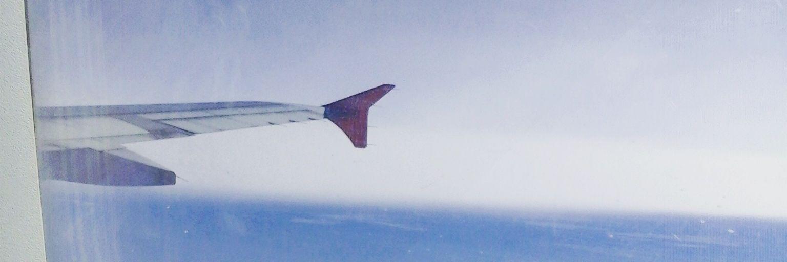Ash banner