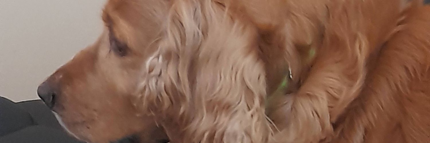 Rosangel 🇵🇪 PERUANA A MUCHO ORGULLO. banner