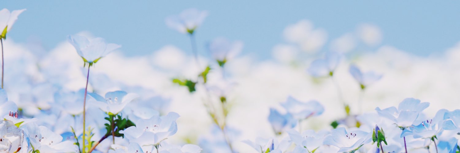 silvtrill22's profile banner image