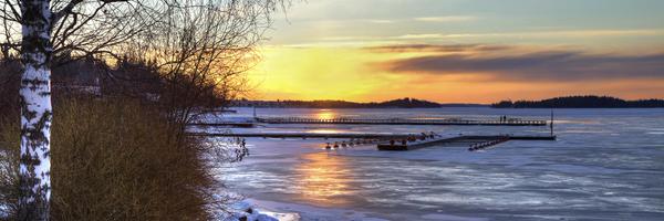 TimoLampenMMA Profile Banner