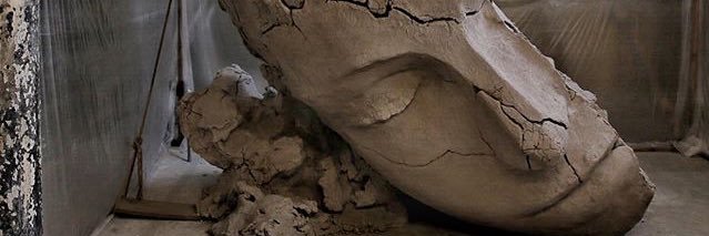 lasucculente's profile banner image