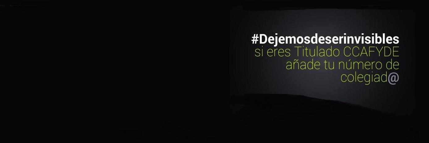 CCAFYDE banner