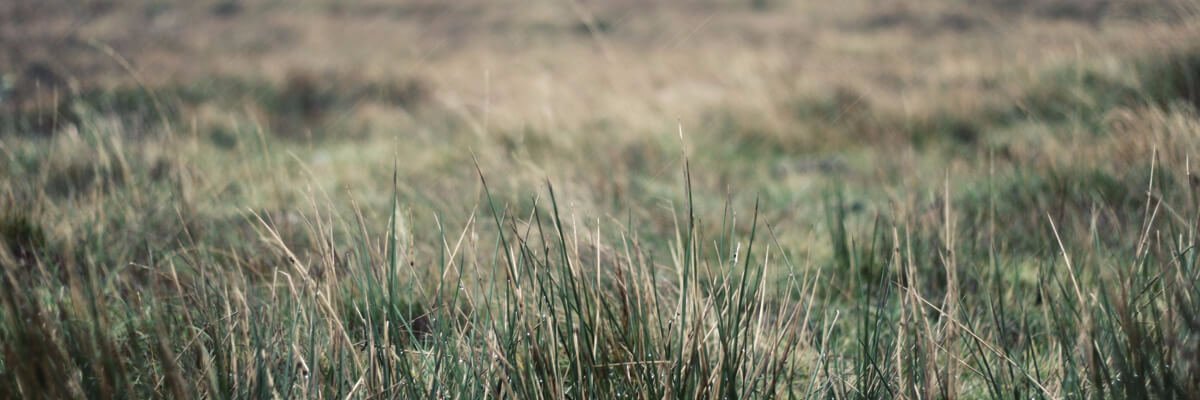 aarvo1's profile banner image