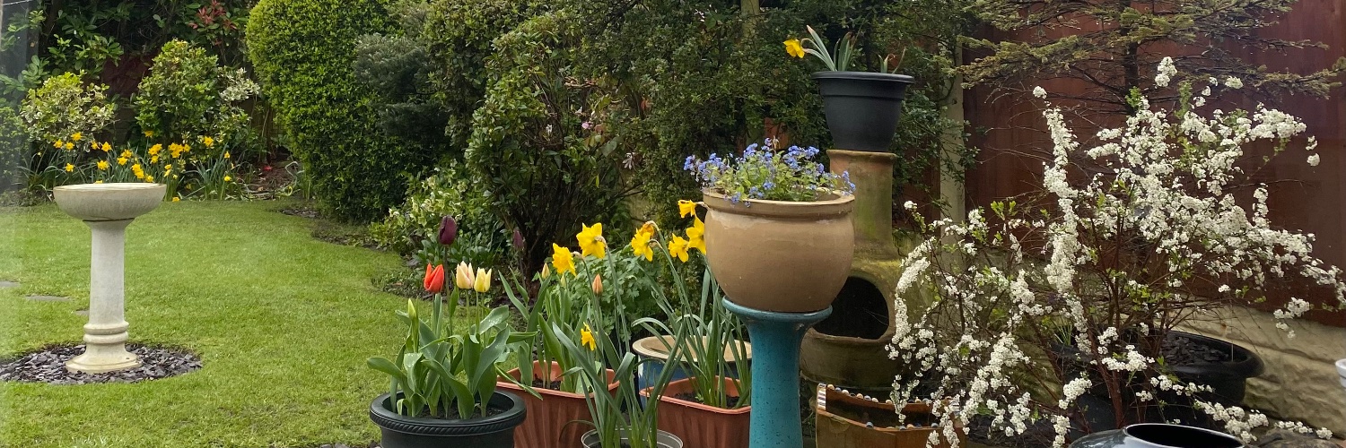 Julie_Gorry's profile banner image