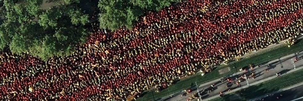 Assemblea Cunit 🎗 banner