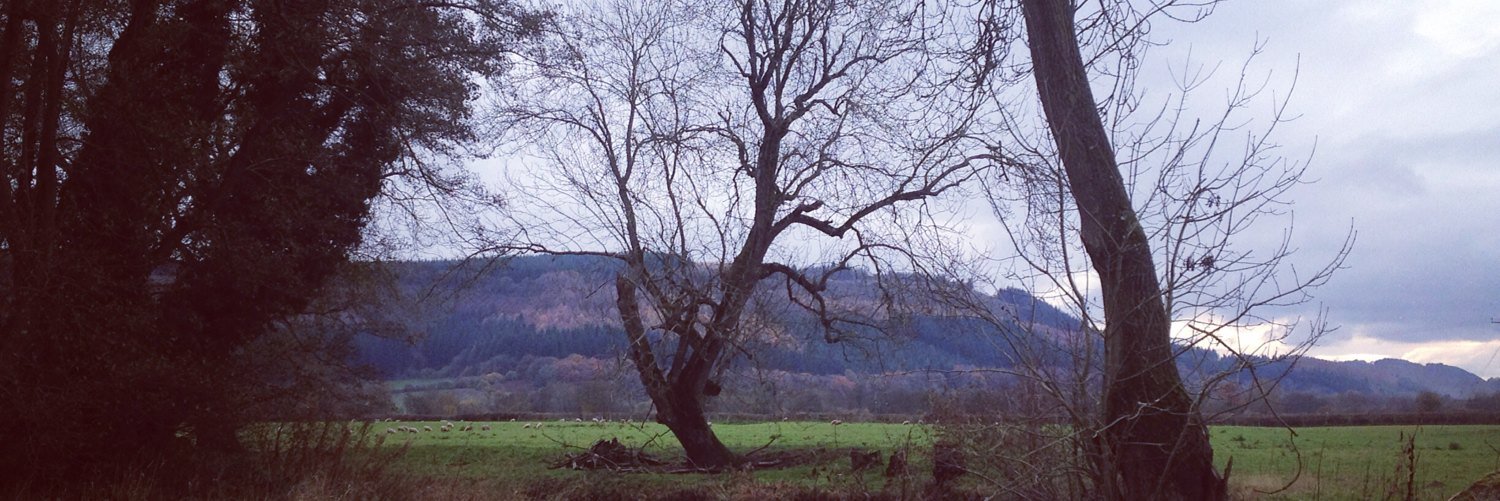 jonpgaskin's profile banner image