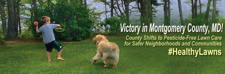 SafeGrowMontgomery banner