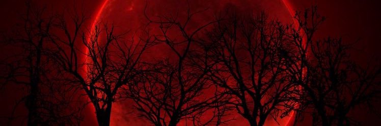 iKizzyKat's profile banner image